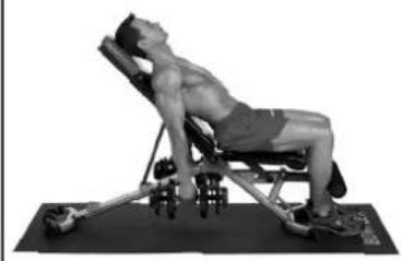 BOWFLEX SelectTech BD1090i - Bankposition - 2