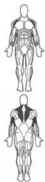 BOWFLEX SelectTech BD1090i - # - 3