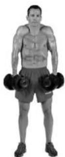 BOWFLEX SelectTech BD1090i - Muscoli evaporati - 3