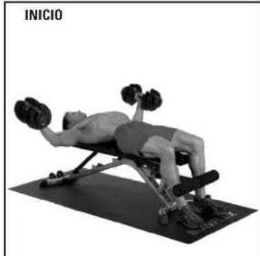 BOWFLEX SelectTech BD1090i - Consejos para el exito - 2