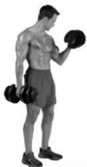 BOWFLEX SelectTech BD1090i - Músculoseworkhados - 3