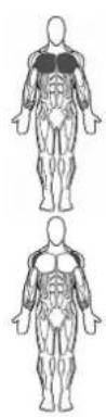 BOWFLEX SelectTech BD1090i - # - 47