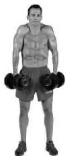 BOWFLEX SelectTech BD1090i - Músculos ejercitados - 3