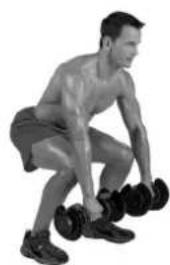BOWFLEX SelectTech BD1090i - Muscles worked - 2