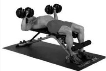 BOWFLEX SelectTech BD1090i - Erfolgstipps - 3