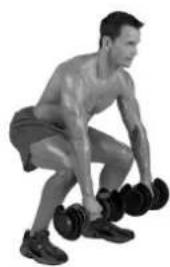 BOWFLEX SelectTech BD1090i - Músculos ejercitados - 2