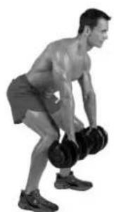 BOWFLEX SelectTech BD1090i - Consejos para el exito - 2