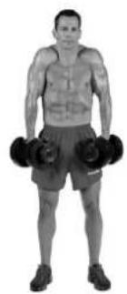 BOWFLEX SelectTech BD1090i - Getrainde spieren - 3