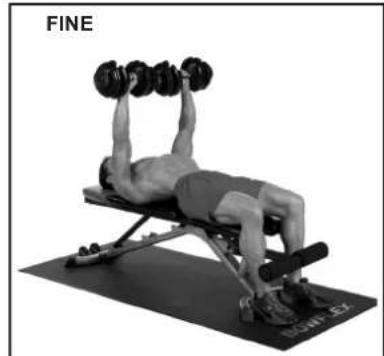 BOWFLEX SelectTech BD1090i - INIZIO AZIONE - 1