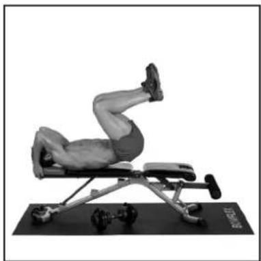 BOWFLEX SelectTech BD1090i - Gssell - 1