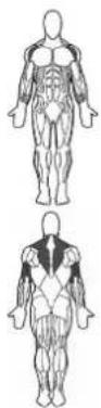 BOWFLEX SelectTech BD1090i - Tips voor succes - 1