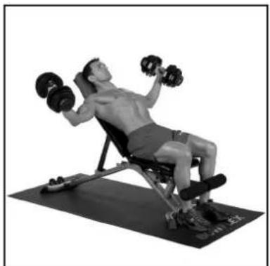 BOWFLEX SelectTech BD1090i - Erfolgstipps - 2