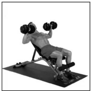 BOWFLEX SelectTech BD1090i - # - 45