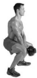 BOWFLEX SelectTech BD1090i - Zielmuskulatur - 3