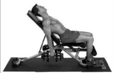 BOWFLEX SelectTech BD1090i - Bench position - 2