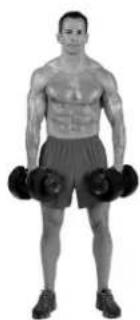 BOWFLEX SelectTech BD1090i - Músculos ejercitados - 2