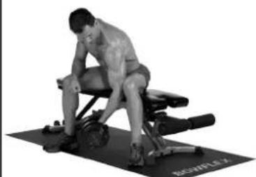 BOWFLEX SelectTech BD1090i - Consejos para el exito - 2