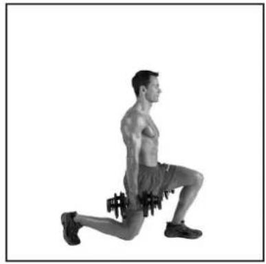 BOWFLEX SelectTech BD1090i - # - 32