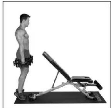 BOWFLEX SelectTech BD1090i - Gastrocnemius en soleus - 3