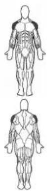 BOWFLEX SelectTech BD1090i - Lateral Raise - 1