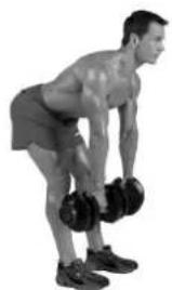 BOWFLEX SelectTech BD1090i - Zielmuskulatur - 3
