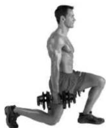 BOWFLEX SelectTech BD1090i - Tips voor succes - 3
