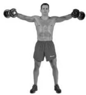 BOWFLEX SelectTech BD1090i - Lateral Raise - 3