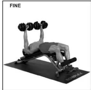 BOWFLEX SelectTech BD1090i - INIZIO AZIONE - 1