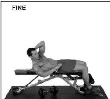 BOWFLEX SelectTech BD1090i - Crunch laterale contorsione - 3