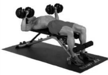 BOWFLEX SelectTech BD1090i - Consigli per il successo - 3