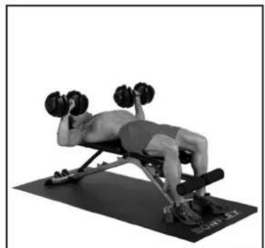 BOWFLEX SelectTech BD1090i - # - 42