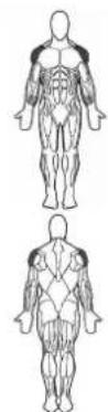 BOWFLEX SelectTech BD1090i - i - 3