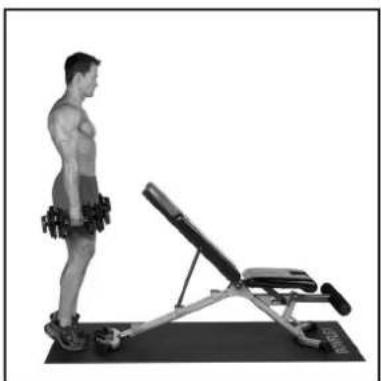 BOWFLEX SelectTech BD1090i - i - 1