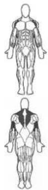 BOWFLEX SelectTech BD1090i - Tips voor succes - 1