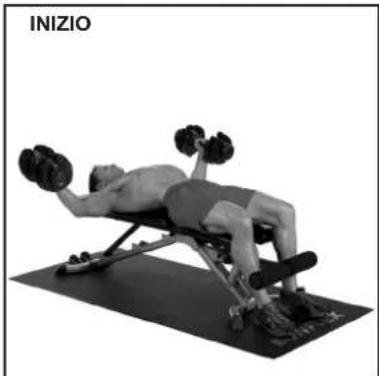 BOWFLEX SelectTech BD1090i - Grande pettorale e deltoidi   Piana - 2