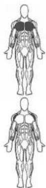 BOWFLEX SelectTech BD1090i - Flat Chest Fly - 1