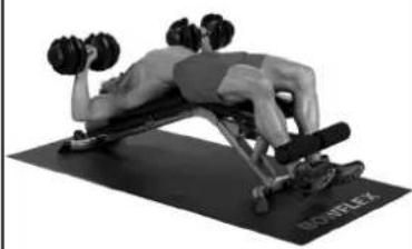 BOWFLEX SelectTech BD1090i - Consigli per il successo - 2