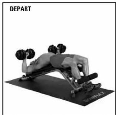 BOWFLEX SelectTech BD552i - Développés déclinés - 2