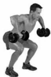 BOWFLEX SelectTech BD552i - Tirages deltoïdes postérieurs - 2