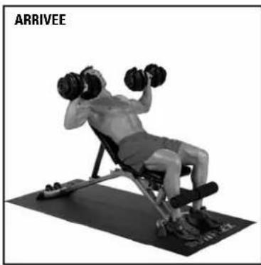 BOWFLEX SelectTech BD552i - Développés inclinés - 4