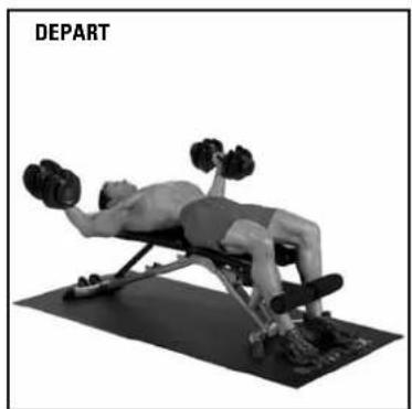 BOWFLEX SelectTech BD552i - Écartés latéraux couchés - 2