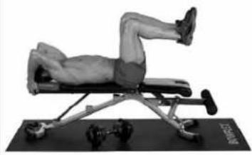 BOWFLEX SelectTech BD552i - Relevés de jambes - 1