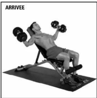BOWFLEX SelectTech BD552i - Écartés latéraux inclinés - 4