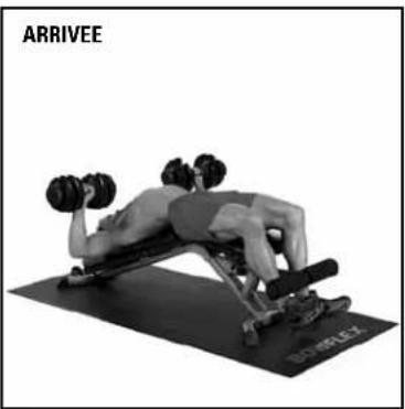BOWFLEX SelectTech BD552i - Développés déclinés - 4