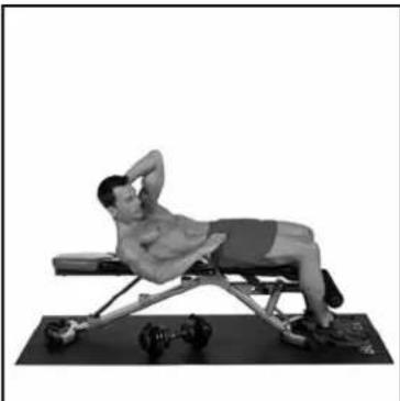 BOWFLEX SelectTech BD552i - Crunches latéraux - 2