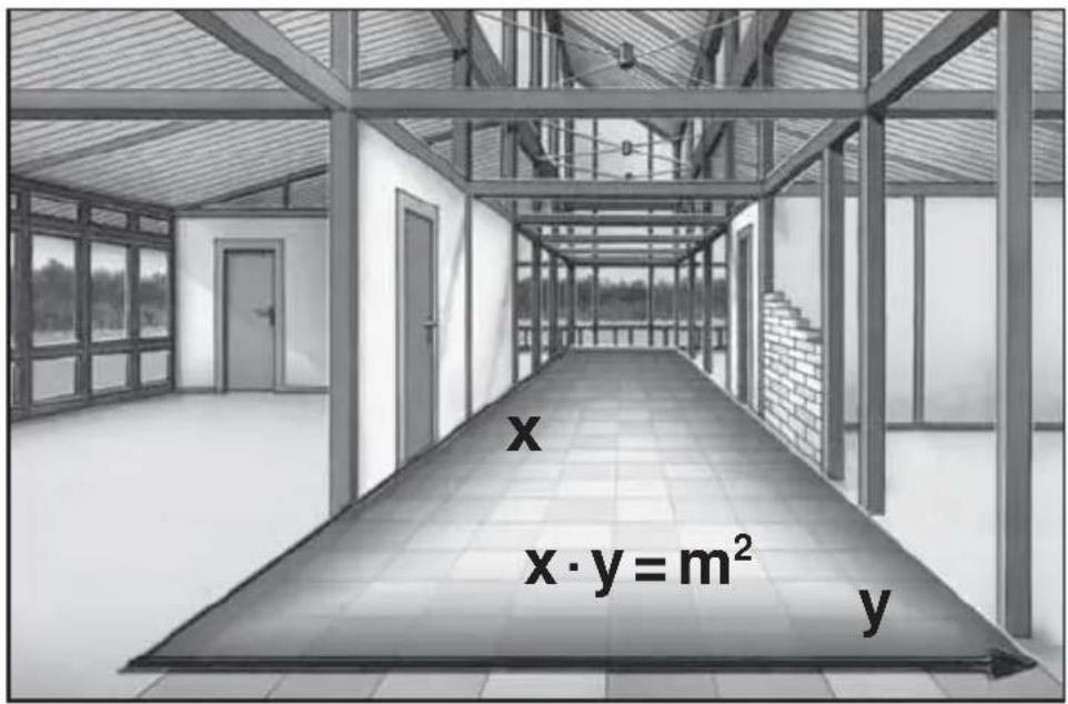 x x·y = m² y