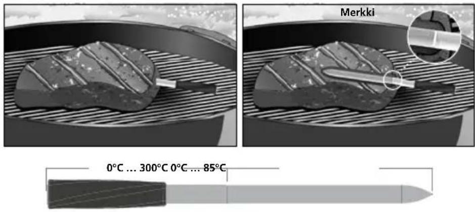 Laserliner ThermoControl Air - Akku (mittauskärki) - 2