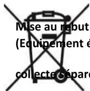 LIVOO TEA266 - Notice d'utilisation - 1