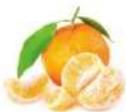 Dash Dual Citrus Juicer JB065WH - RECIPE GUIDE - 2