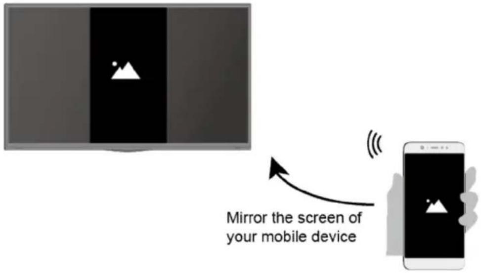 SCHNEIDER SC55S1FJORD - INPUT > Screen Sharing - 1